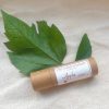 Lip Balm Apple 1